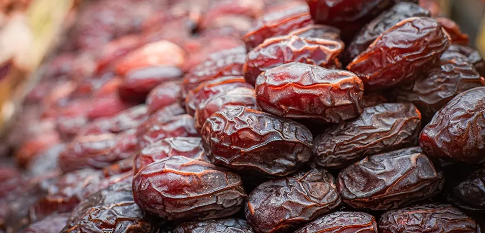 Elinde parlak Medine hurması tutan bir kişi.