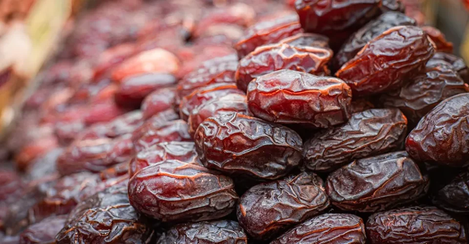 Elinde parlak Medine hurması tutan bir kişi.